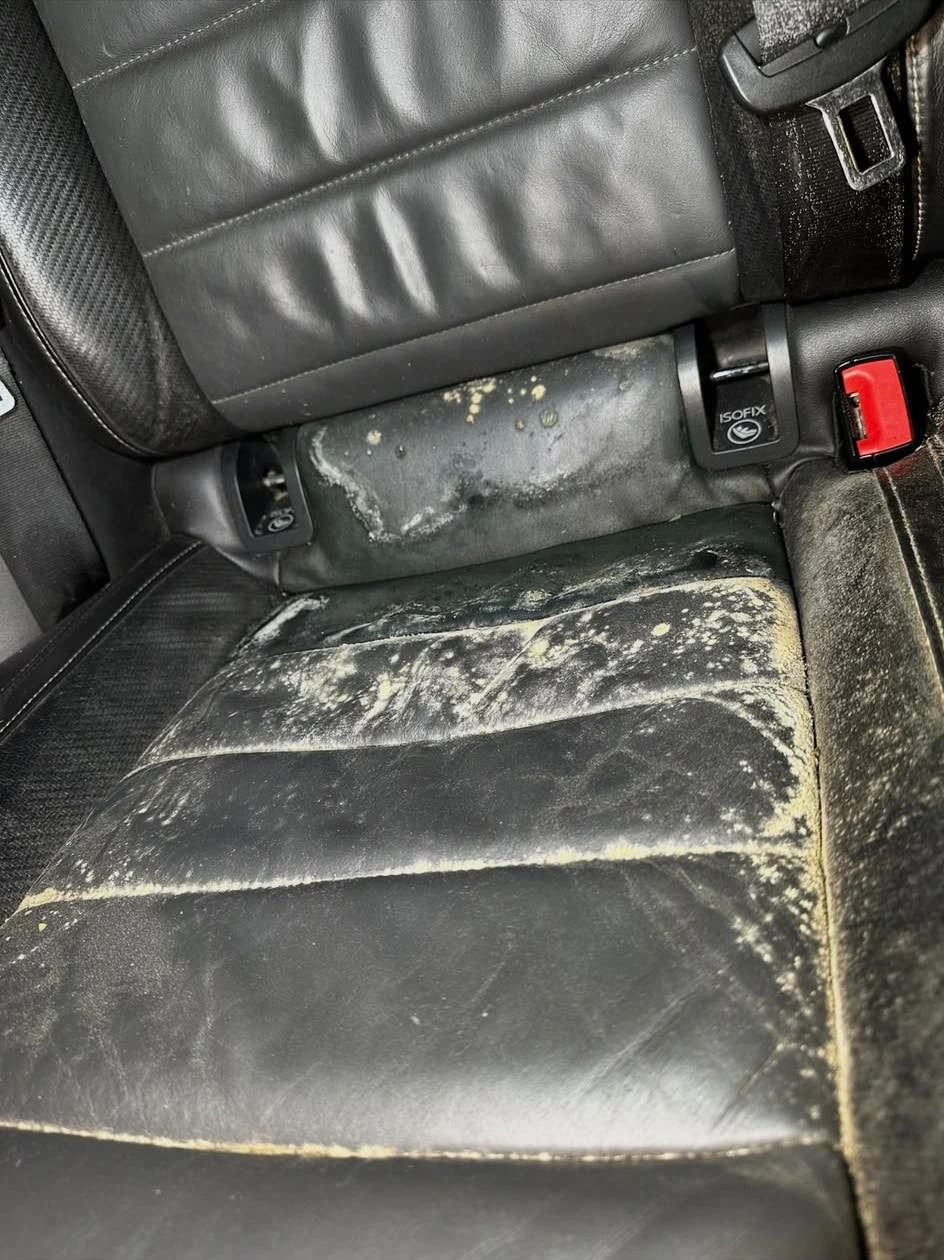 Avant : banquette arrière en cuir noir d’une Golf 7 couverte de moisissure
