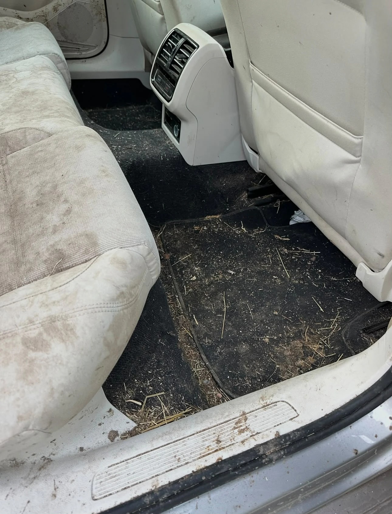 Avant : banquette arrière et moquette d’une Passat Break couvertes de terre et de brins d’herbe